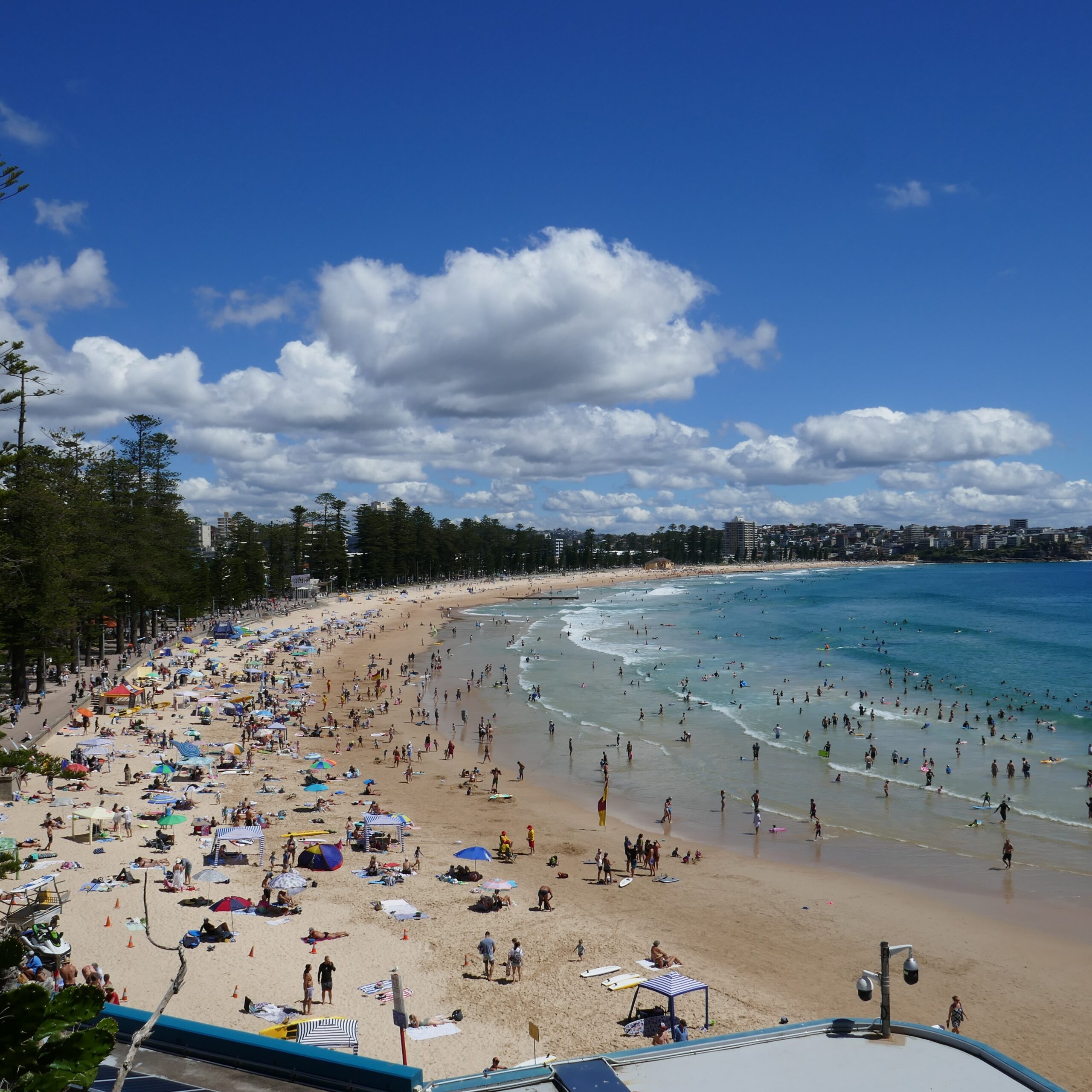 Manly Beach, viewed from Reddall street, above the Manly Life Saving Club, at the southern end of the beach