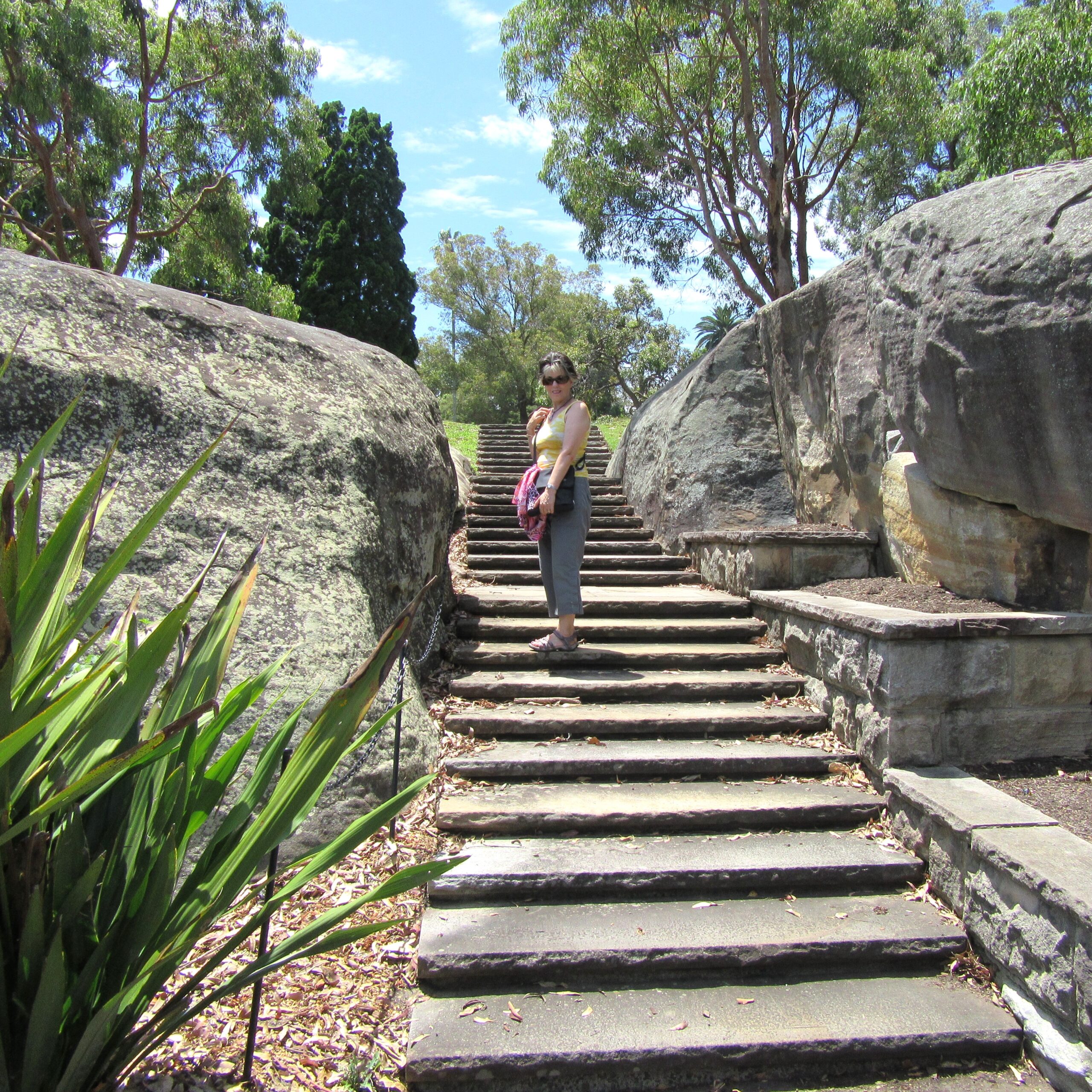 A set of stone steps, leading up between two outcrops of rock, at Farm Cove in the Sydney Botanic Gardens