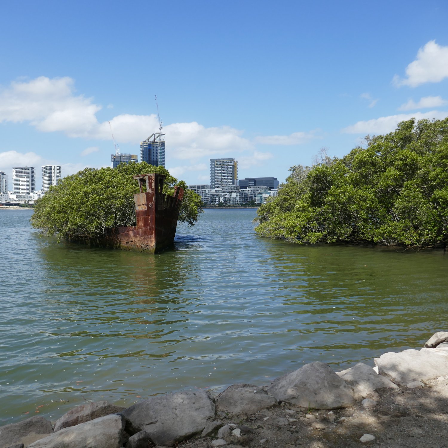 The rusting hulk of the steam ship SS Ayrfield, once a coastal collier, abandoned in Homebush Bay since the early 1970s