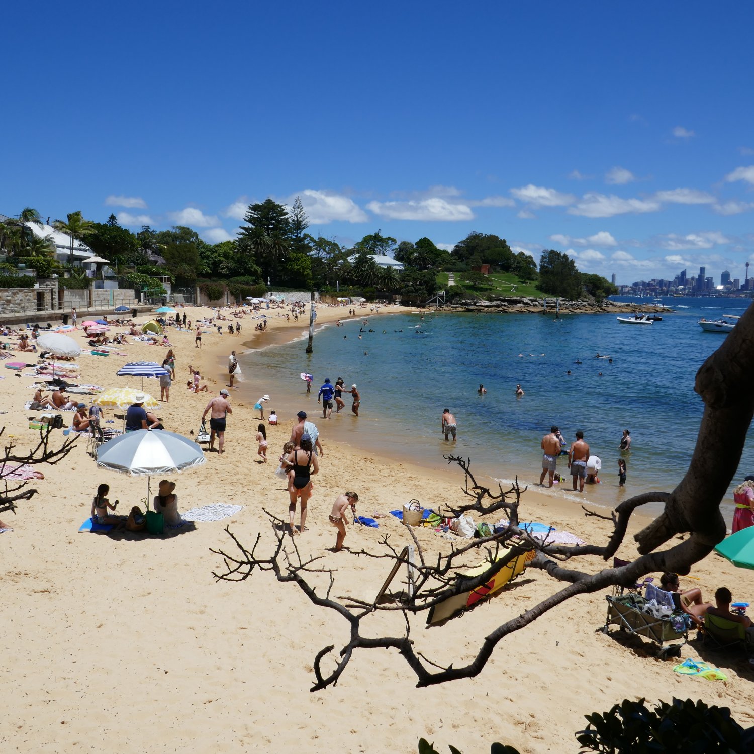 A view of the historic Camp Cove Bay, with bathers enjoying time at the beach