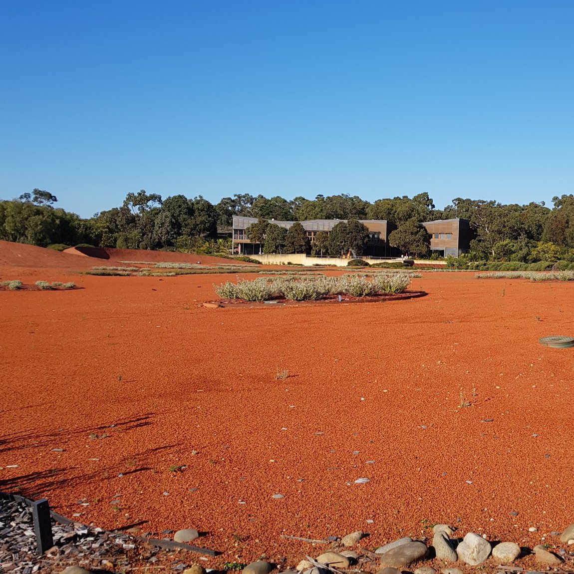 Image of dry, arid red dirt expanse, with bushland and a building in the background, as found in the Australian outback