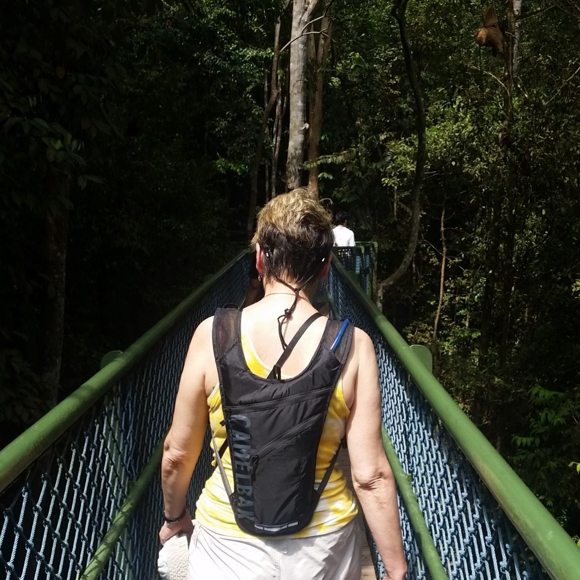 Image of the back of a walker, carrying a hydrations pack, crossing the tree-top bridge at the MacRitchie Reservoir