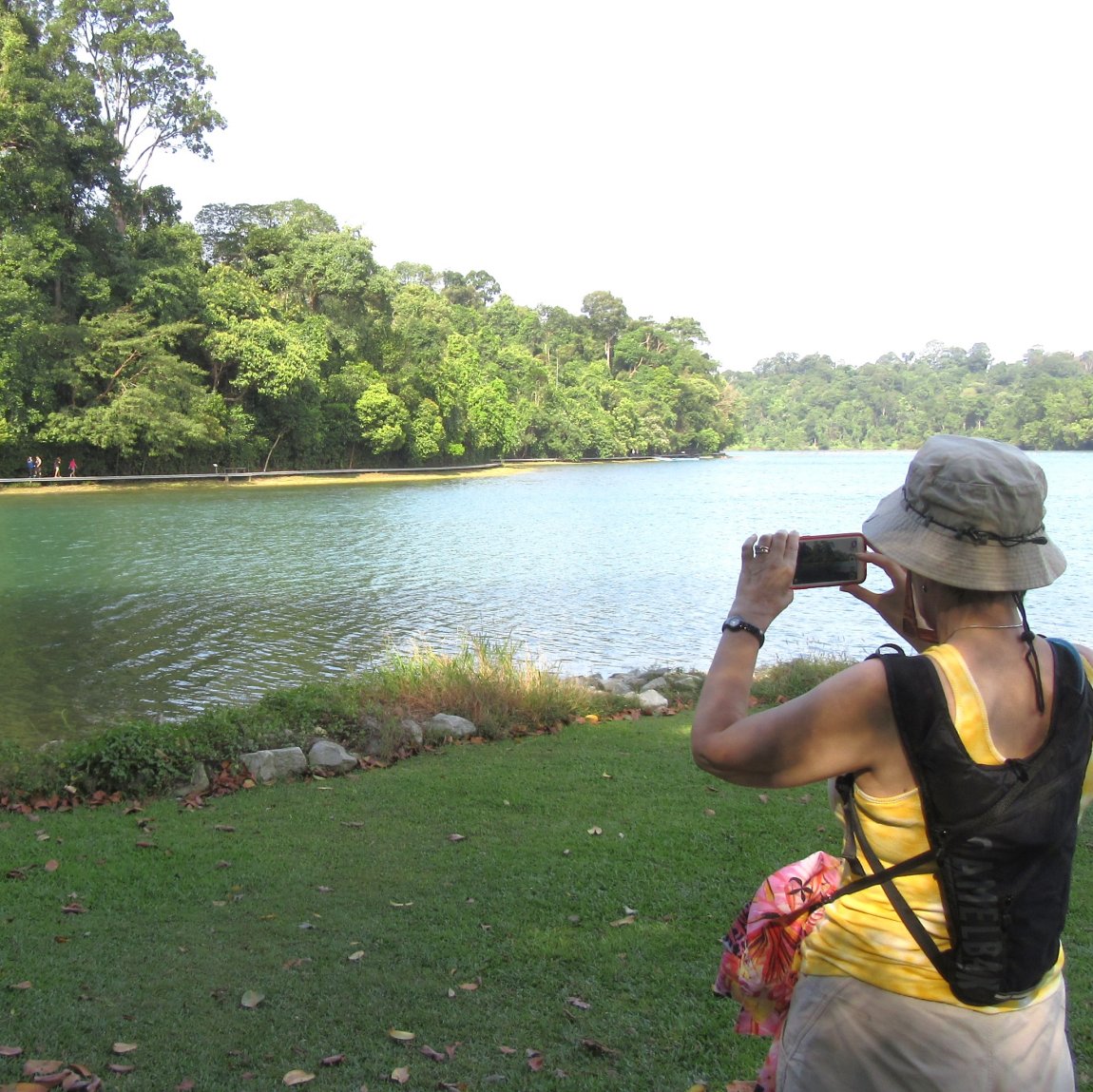 Image of a walker taking a photograph at the MacRitchie Reservoir in Singapore; the walker is wearing a hat and carrying a hydration pack