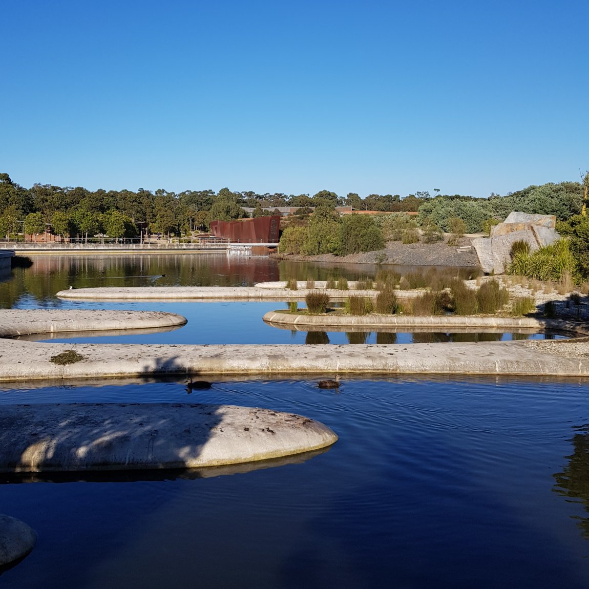 Image showing water ponds at Cranbourne Gardens, Melbourne