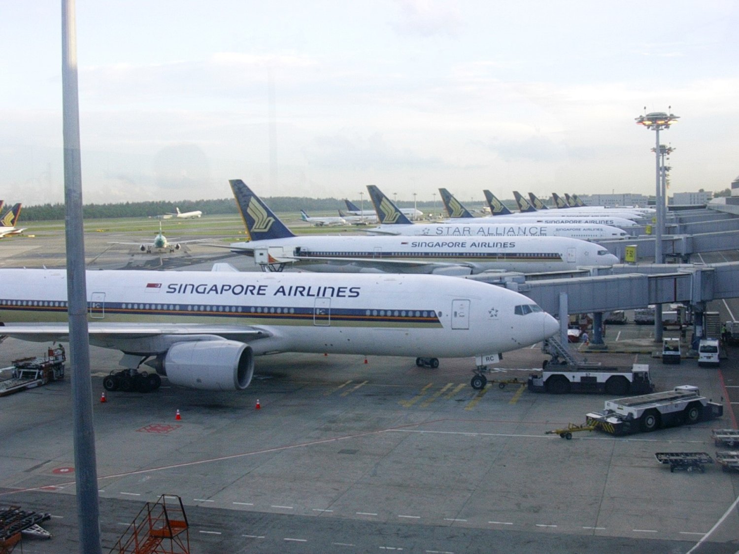 A lineup of Singapore Airlines airliners at Changi Airport