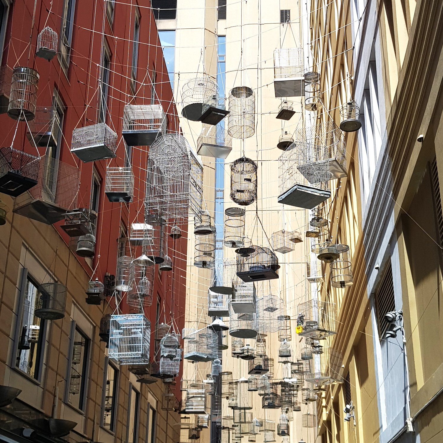 Daytime image of suspended birdcages above Angel Place