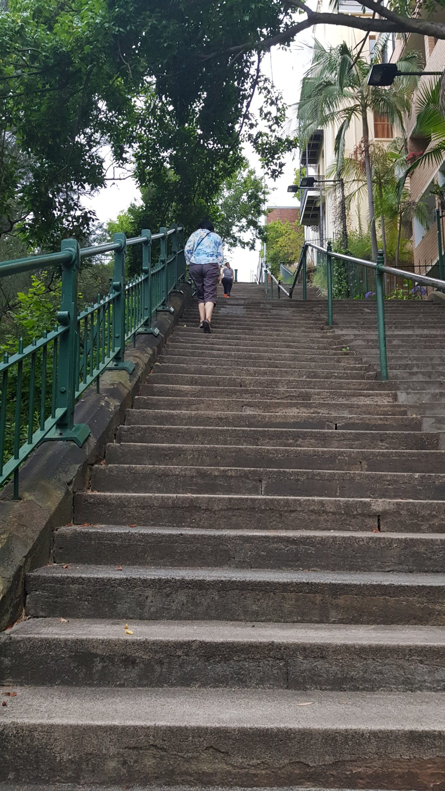 image of Marlene climbing her way up the 113 steps of the McElhone Stairs