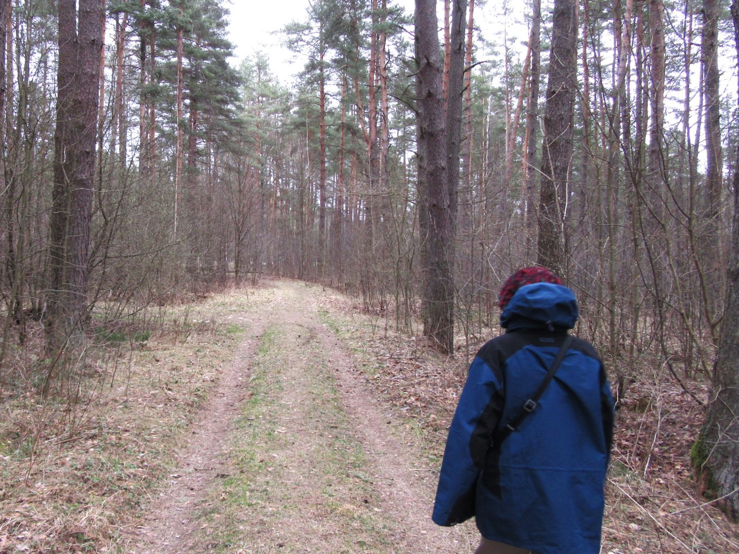Image of Marlene walking in the forest near the Salaspils Concentration Camp memorial (Latvia)