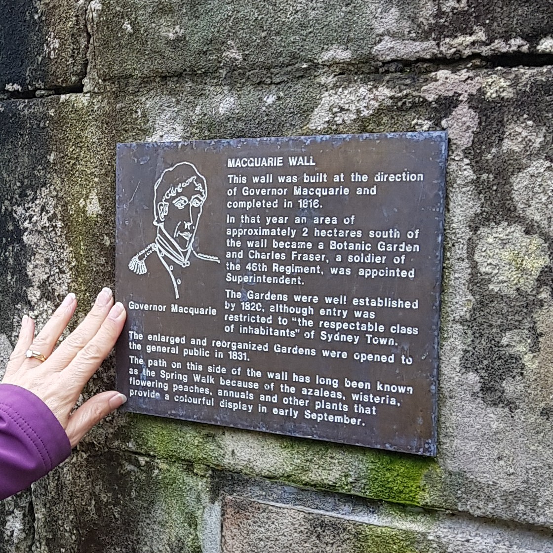 Image showing a little snippet of the history of the Royal Botanic Gardens - the story of Governor Macquarie's part, as shown on the Macquarie Wall
