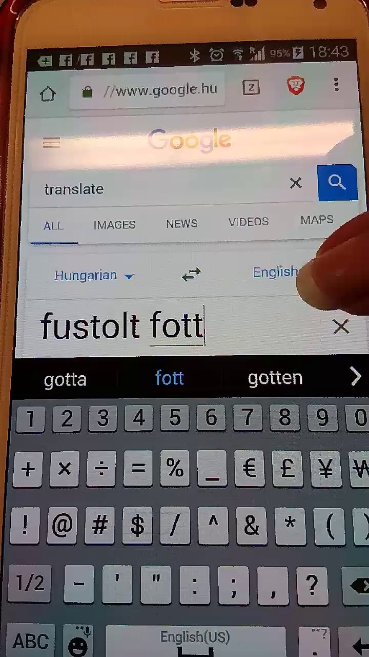 Collage of two images showing Google Translate screen, with "fustolt fott" being shown as f^*~ed potty!