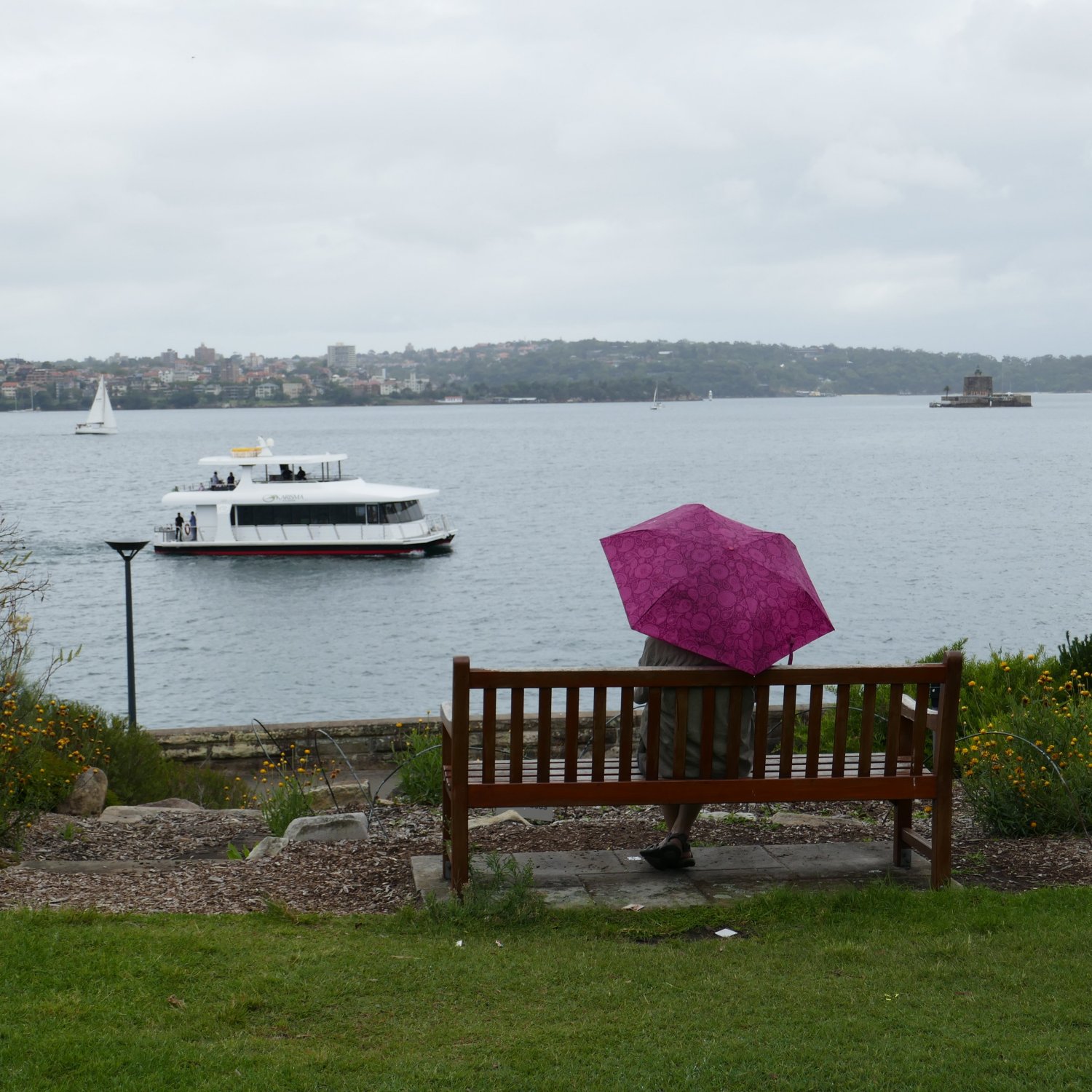 image of Marlene with a pink umbrella sitting on a park bench in the Sydney Royal Botanic Garden, overlooking Farm Cove