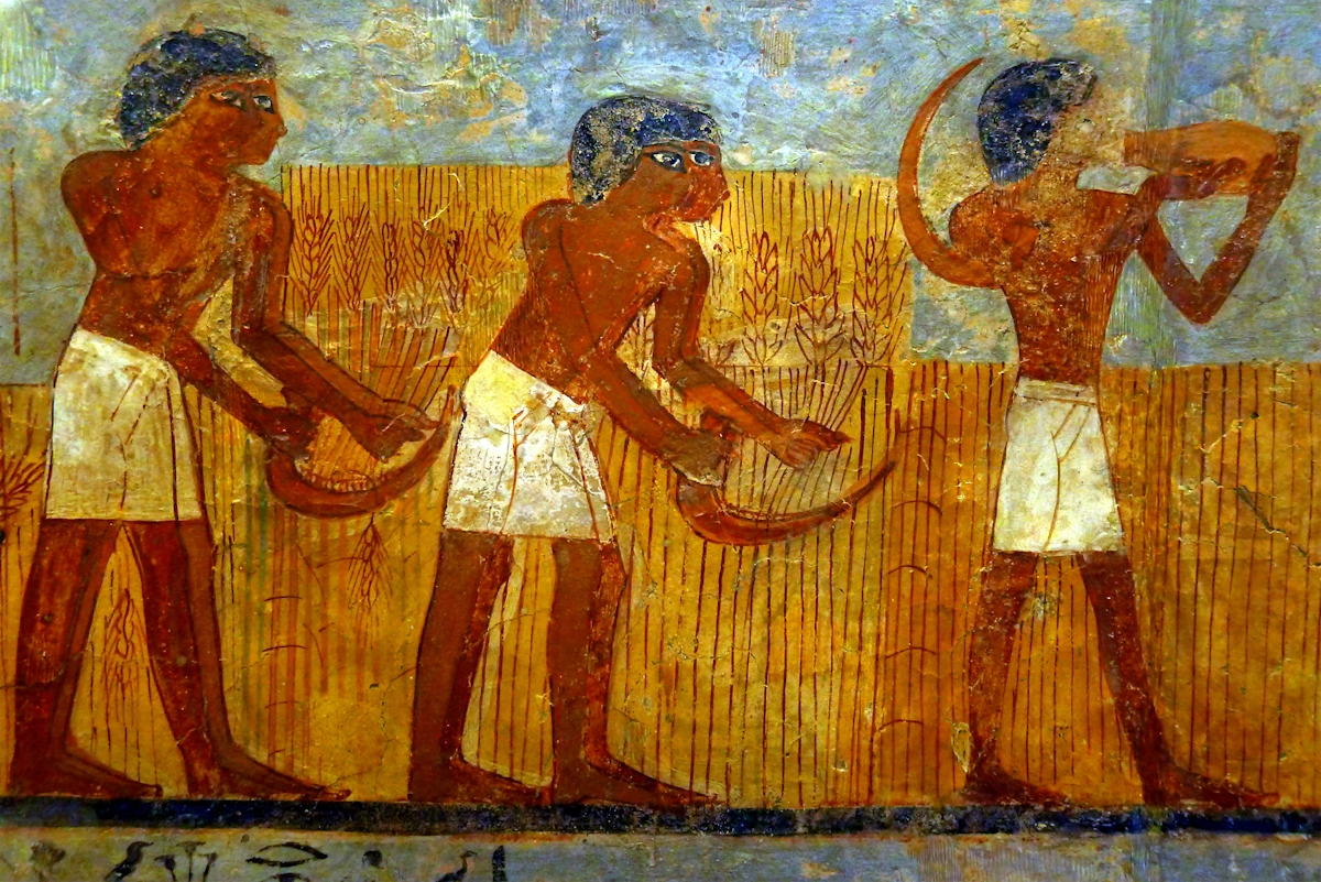 Image of an ancient Egyptian agricultural mural painting from the tomb of Ounsou (circa 1450 BCE) - Credit: Louvre Museum