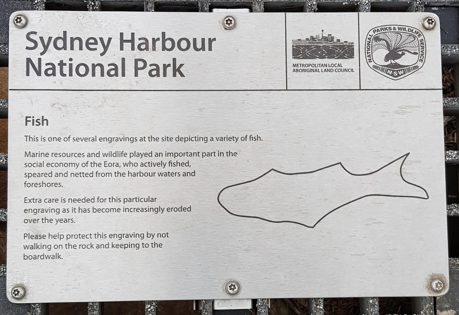 Image of Sydney Harbour National Park signage about rock engraving of fish at Grotto Point